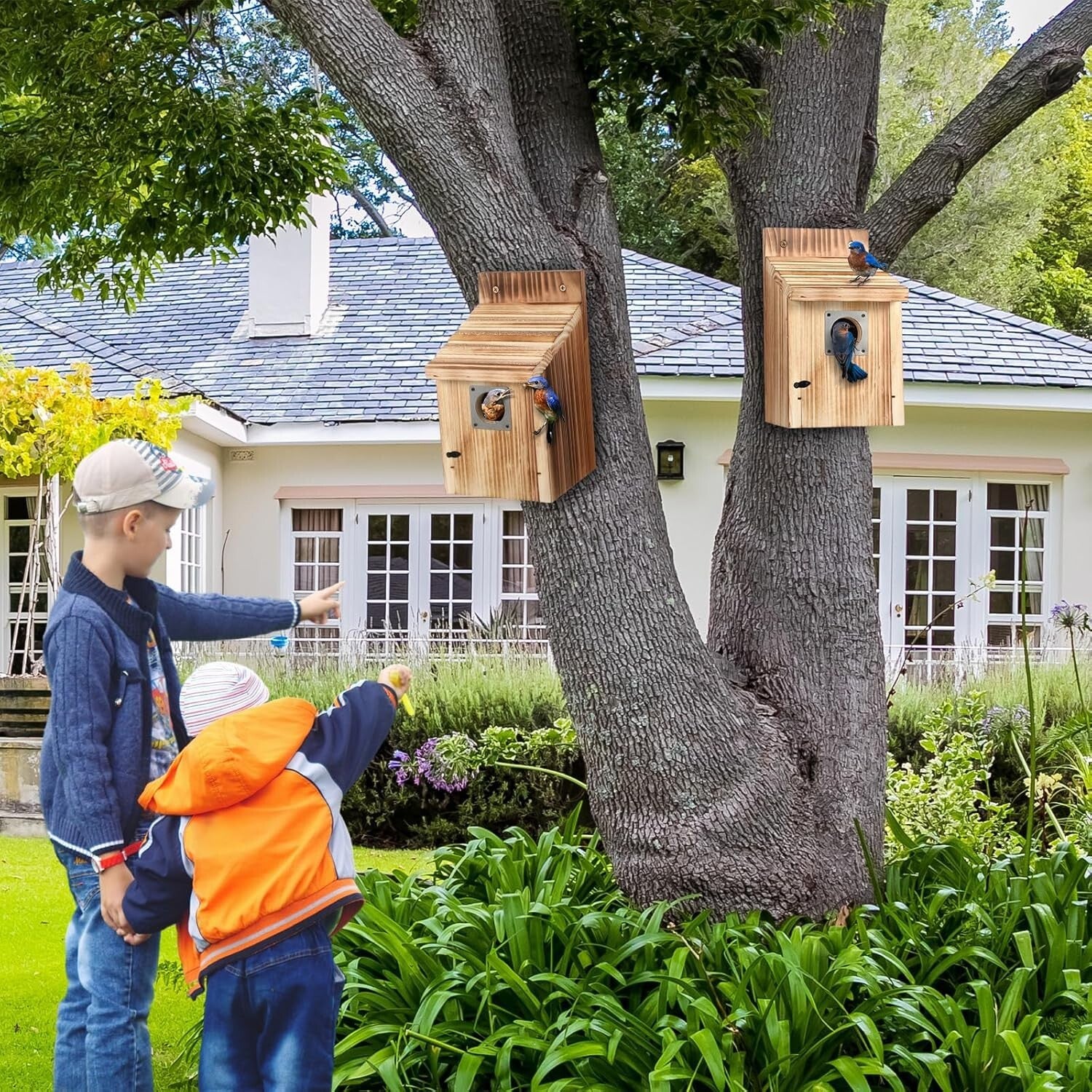 Attractive Cedar Bird Houses with Secure Latch and Easy Access for Fledglings