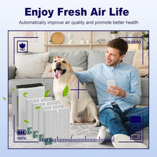Load image into Gallery viewer, Cost-Effective HEPA Filter Replacement Pack for Winix C535, 5300, 5500 Models