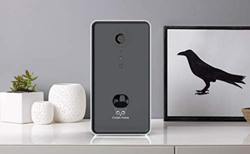 Interactive Pet Camera with Motion Detection, Treat Tossing & 1080P Video