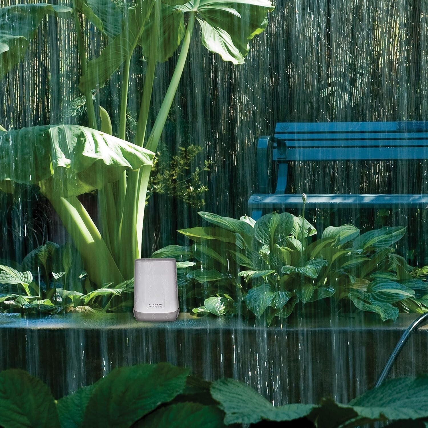 Digital Rain Gauge with Wireless Thermometer & Humidity - All-Weather Reliable