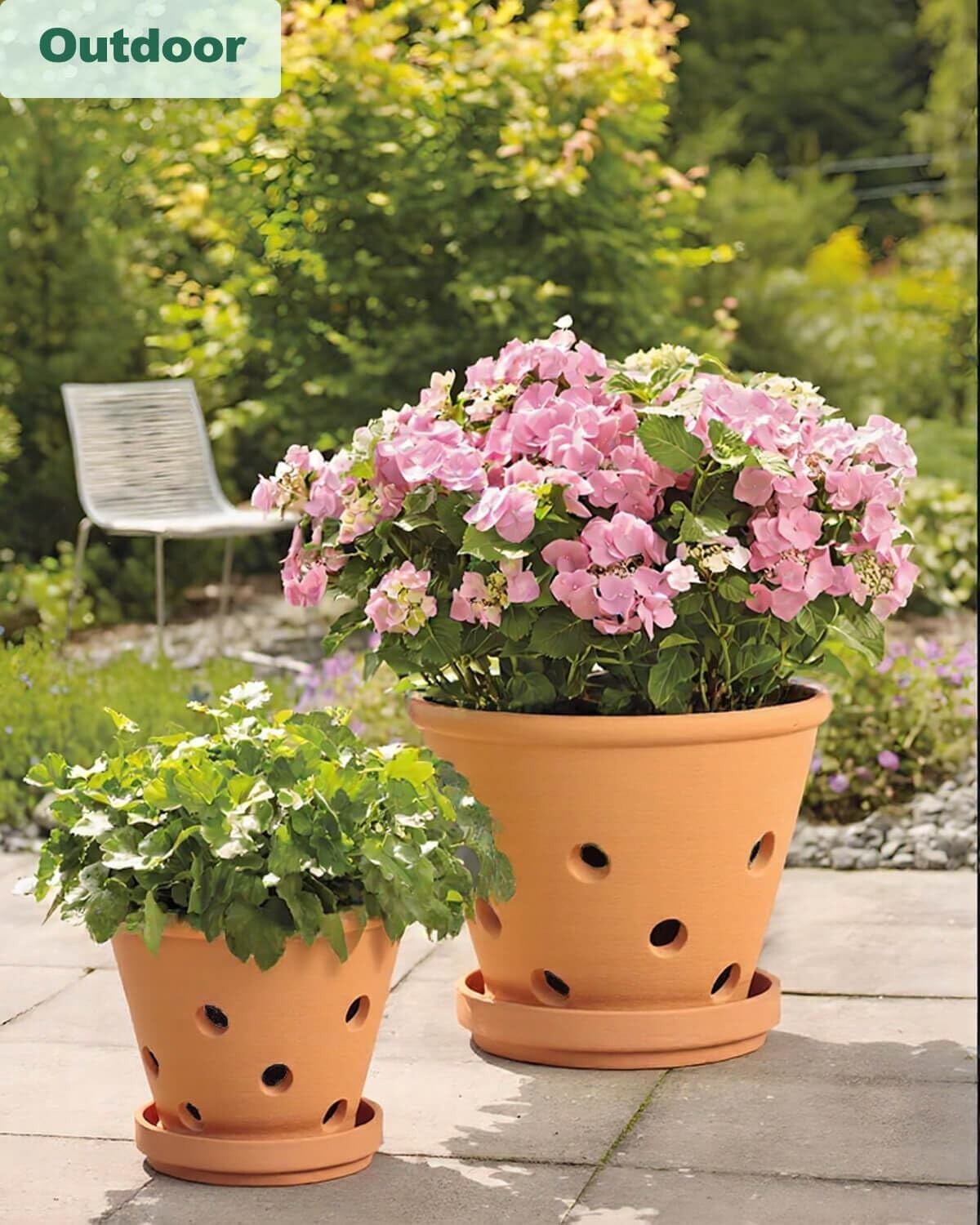 Classic 8-Inch Terracotta Plant Pots with Breathing Holes – Perfect for Orchids
