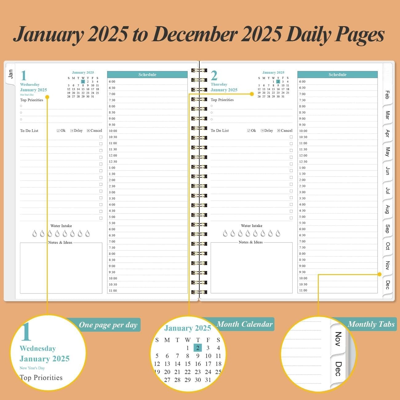 2025 Elegant Daily & Monthly Planner - One Page Per Day, 8.5"x11", Rose
