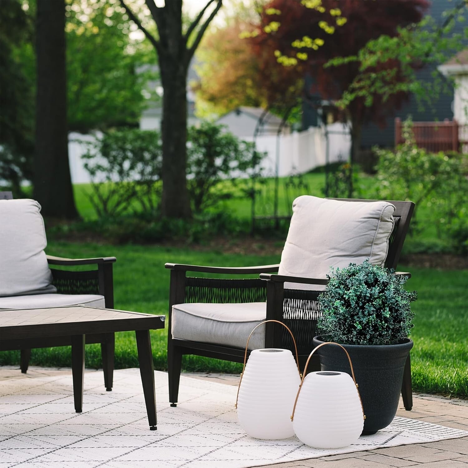 Decorative Pre-Potted Boxwood Topiary Set - 24-Inch Elegance for All Seasons