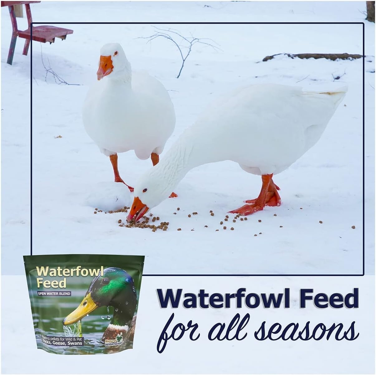 20 lb Premium Floating Pellets for Ducks, Swans & Geese - Seafood Flavor