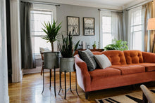 Load image into Gallery viewer, Modern Set of 2 Iron Planters with Stands - Perfect for Your Indoor Jungle