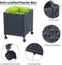 Load image into Gallery viewer, Mobile Raised Garden Bed with Trellis: Perfect for Climbing Vegetables &amp; Flowers