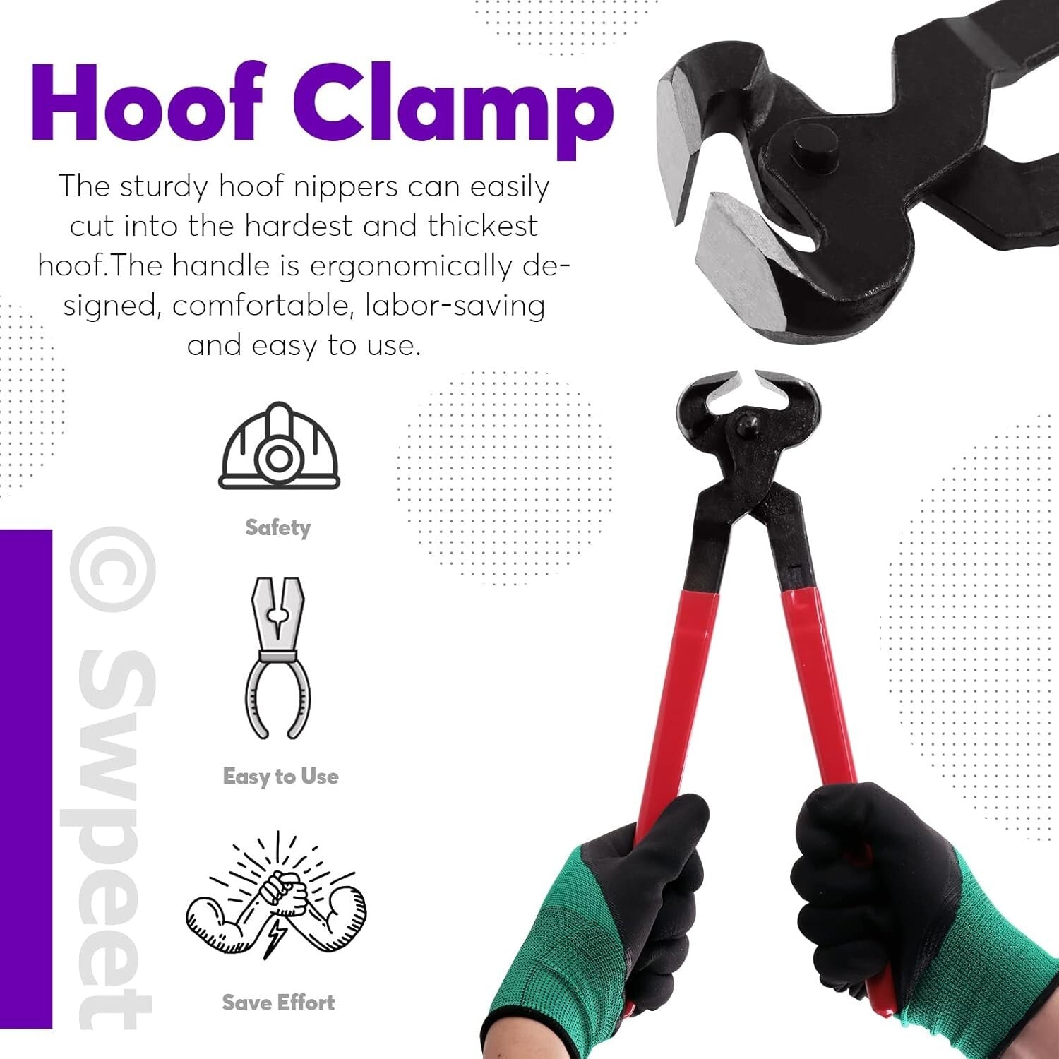 Durable Horse Hoof Trimming & Rasp Set - 8 Professional Tools for Effective Care