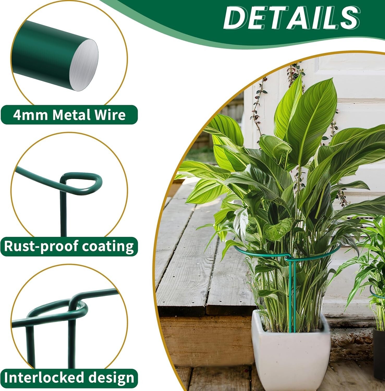 Elegant 20 Pack Plant Support Stakes - 10" Wide x 16" High for Garden Aesthetics