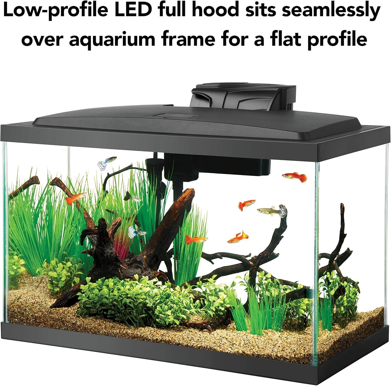 10 Gallon LED Aquarium Starter Kit with Complete Accessories – Effortless Setup