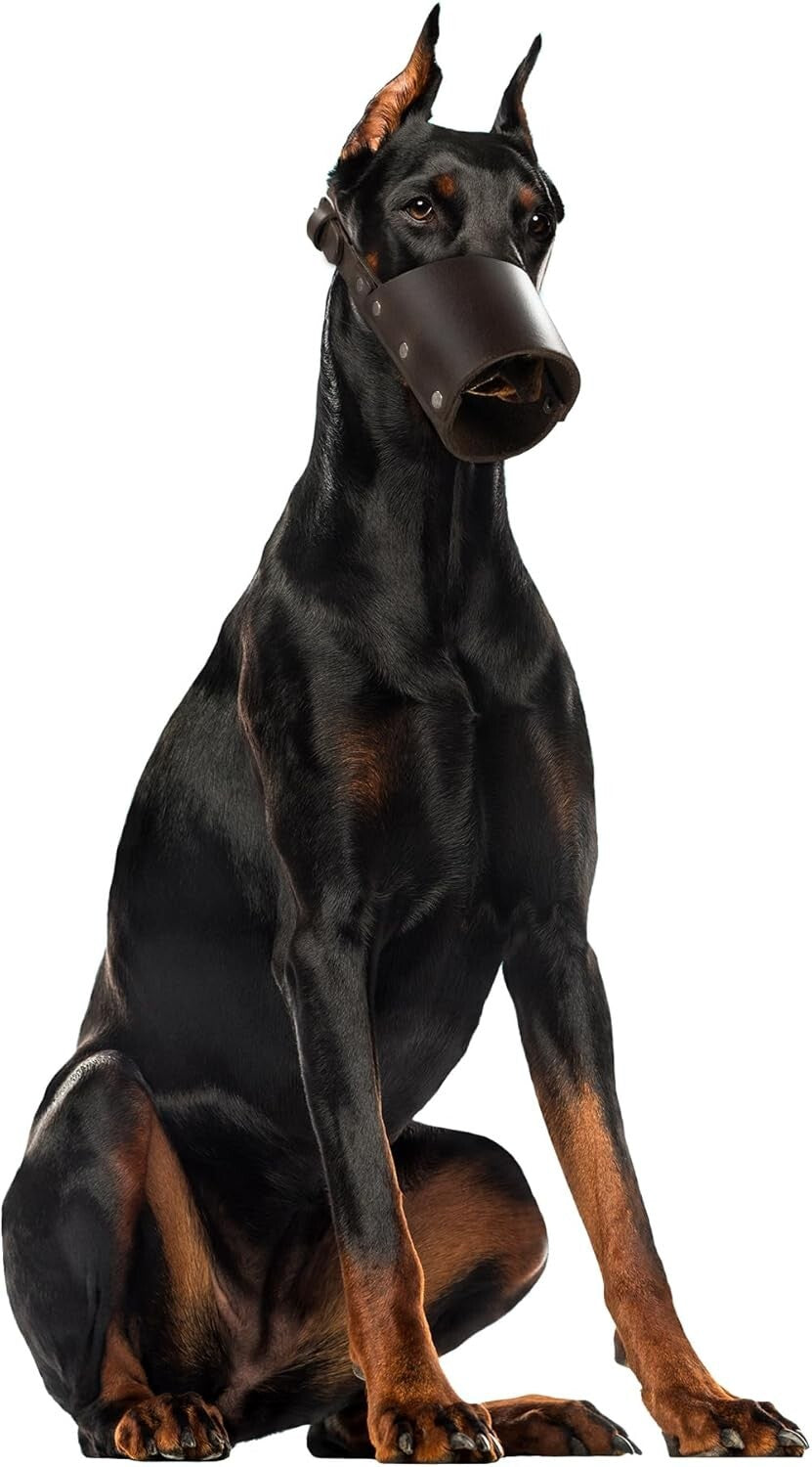 Lightweight Leather Dog Muzzle Guard – Handmade for Pitbulls & German Shepherds