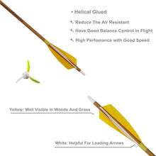 Load image into Gallery viewer, 6-Pack 28-Inch Carbon Arrows with Natural Fletching for Compound &amp; Recurve Bows