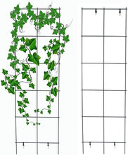 Load image into Gallery viewer, Vintage-Style Green Trellis - 59-Inch Support for Climbing Plants &amp; Vegetables