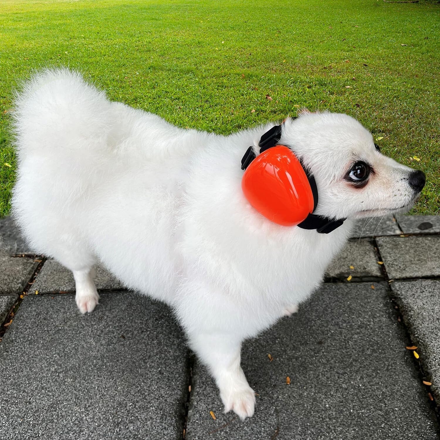 Comfortable Large Red Dog Earmuffs for Fireworks and Loud Noises - 29dB NRR