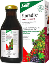 Load image into Gallery viewer, Floradix Iron + Herbs – Convenient 500 ML for Energy Boost &amp; Healthy Metabolism