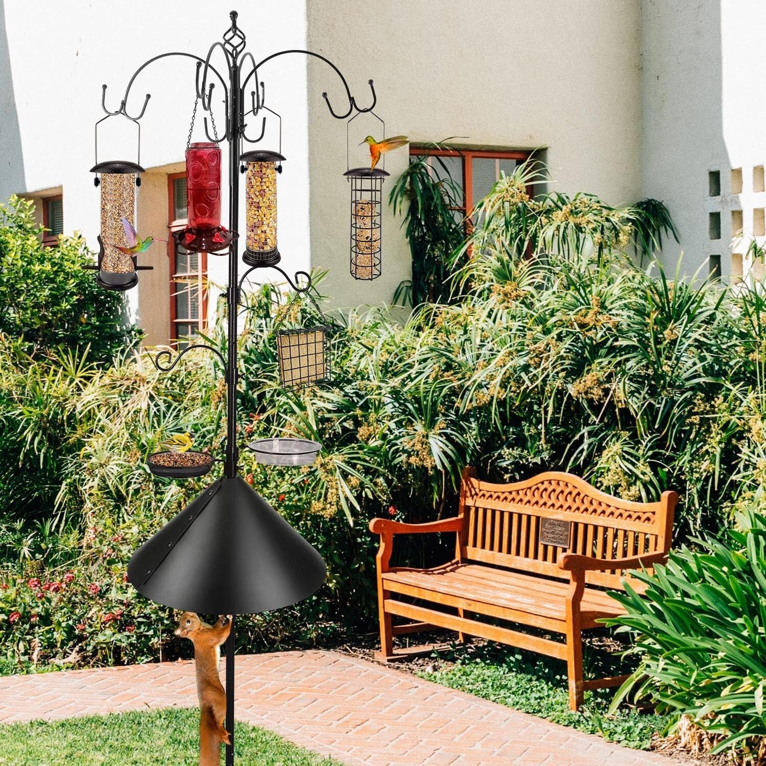 Attractive Bird Feeding Station Kit with Adjustable Hooks & Squirrel Baffle