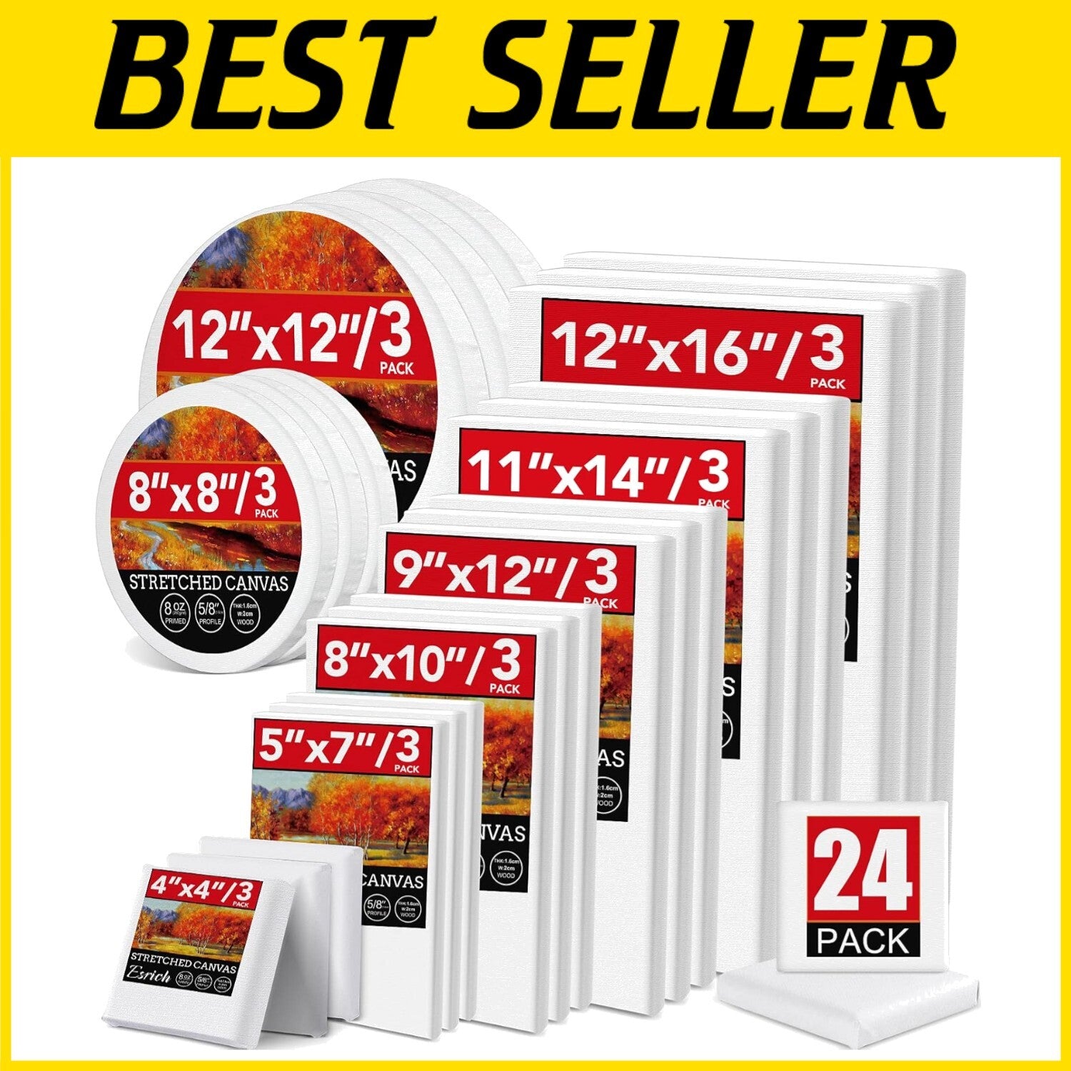 Diverse 24 Canvas Set with Round and Rectangle Shapes - Ideal for Creators