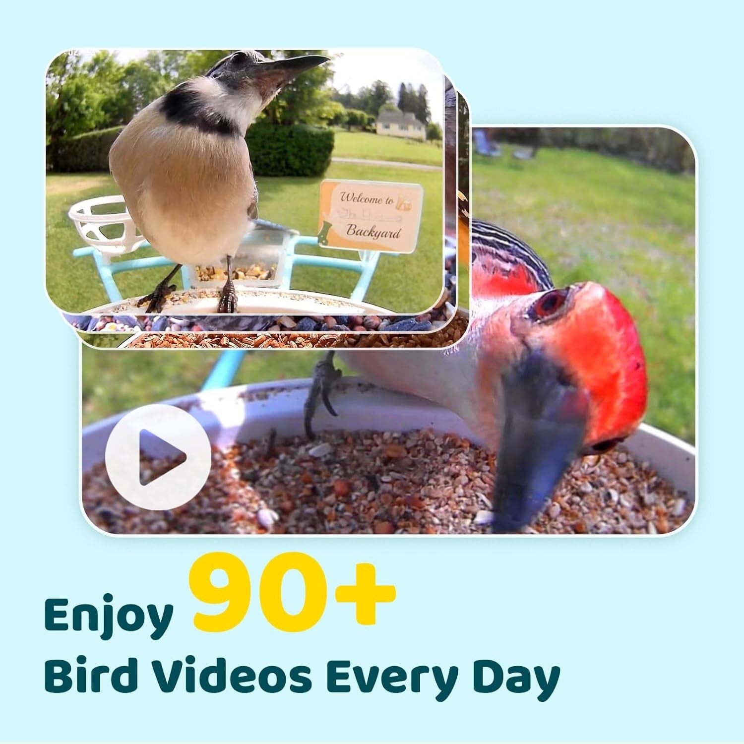 Stylish Bird Feeder with 1080P Camera & Custom Add-ons - Best Gift for Families