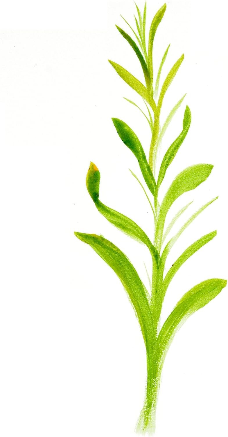 High-Quality 10 Brush Set for Artists: Special Effects & Multi-Media Painting