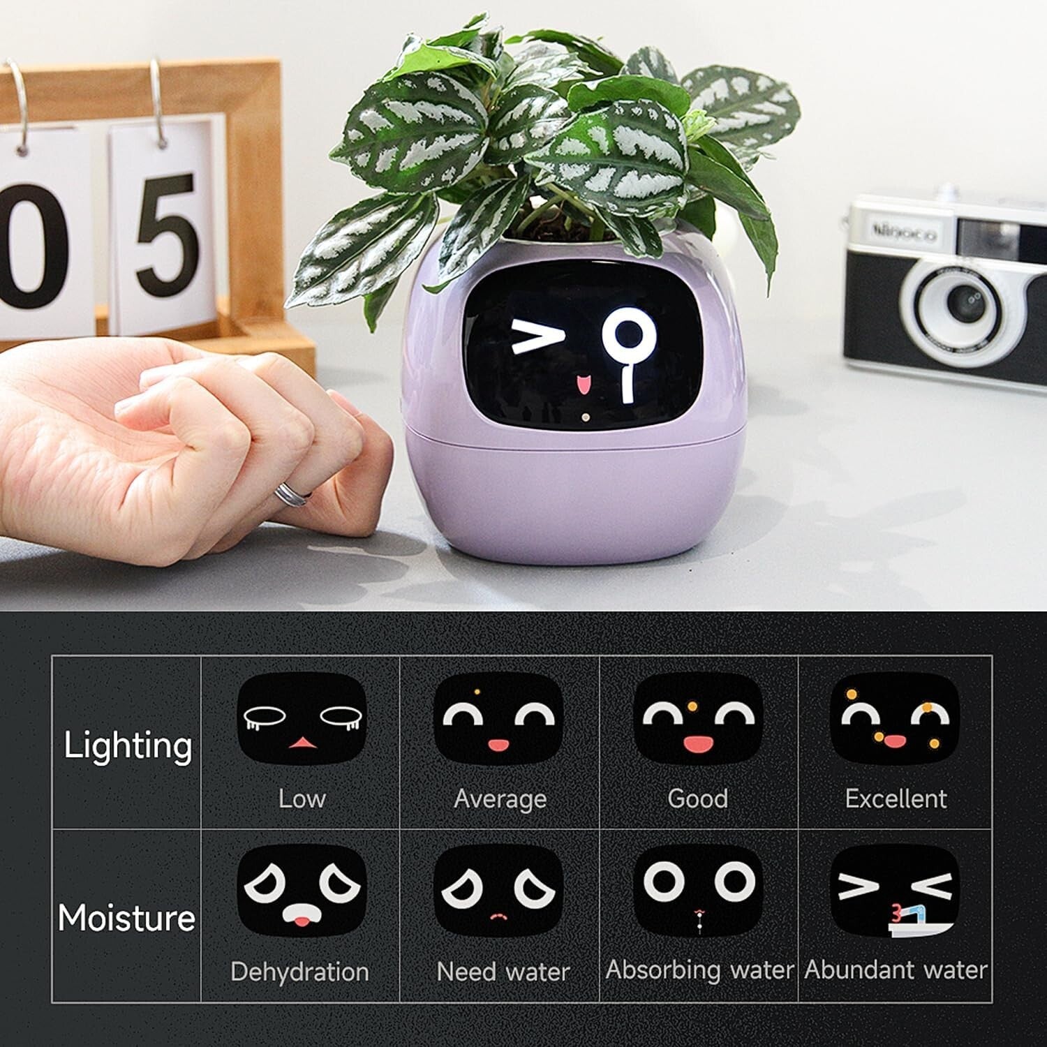 Lightweight AI Flowerpot with Gesture Interaction Features – Perfect Gift!