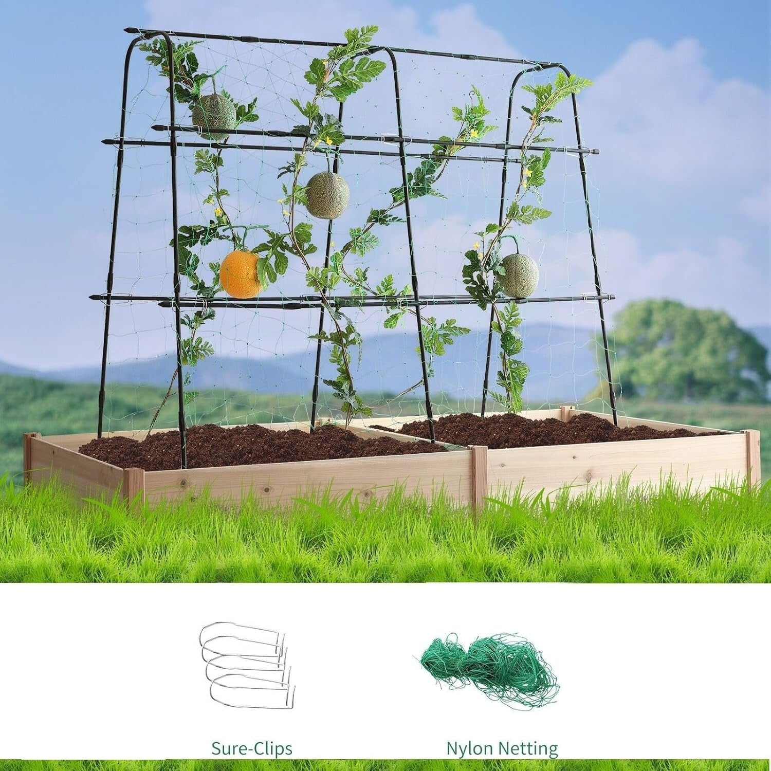 Elegant 5.3 FT Tall Trellis with Durable Steel and Nylon Netting for Raised Beds