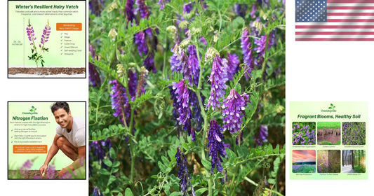 Pollinator Friendly Hairy Vetch Seeds - 10 Lbs for Soil Health & Biodiversity