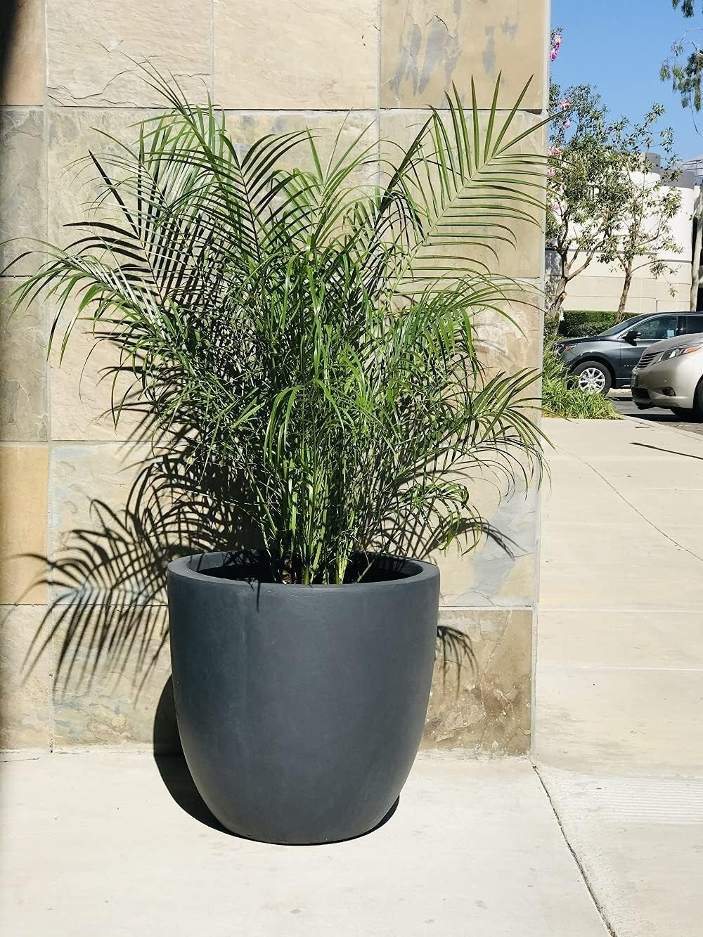 Elegant 14" Diameter Concrete Planter with Rubber Plug - Perfect for Every Space