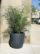 Load image into Gallery viewer, Elegant 14" Diameter Concrete Planter with Rubber Plug - Perfect for Every Space