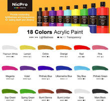 Load image into Gallery viewer, Premium 18-Color Acrylic Paint Bundle - 8.45 Fl Oz Bottles for All Surfaces