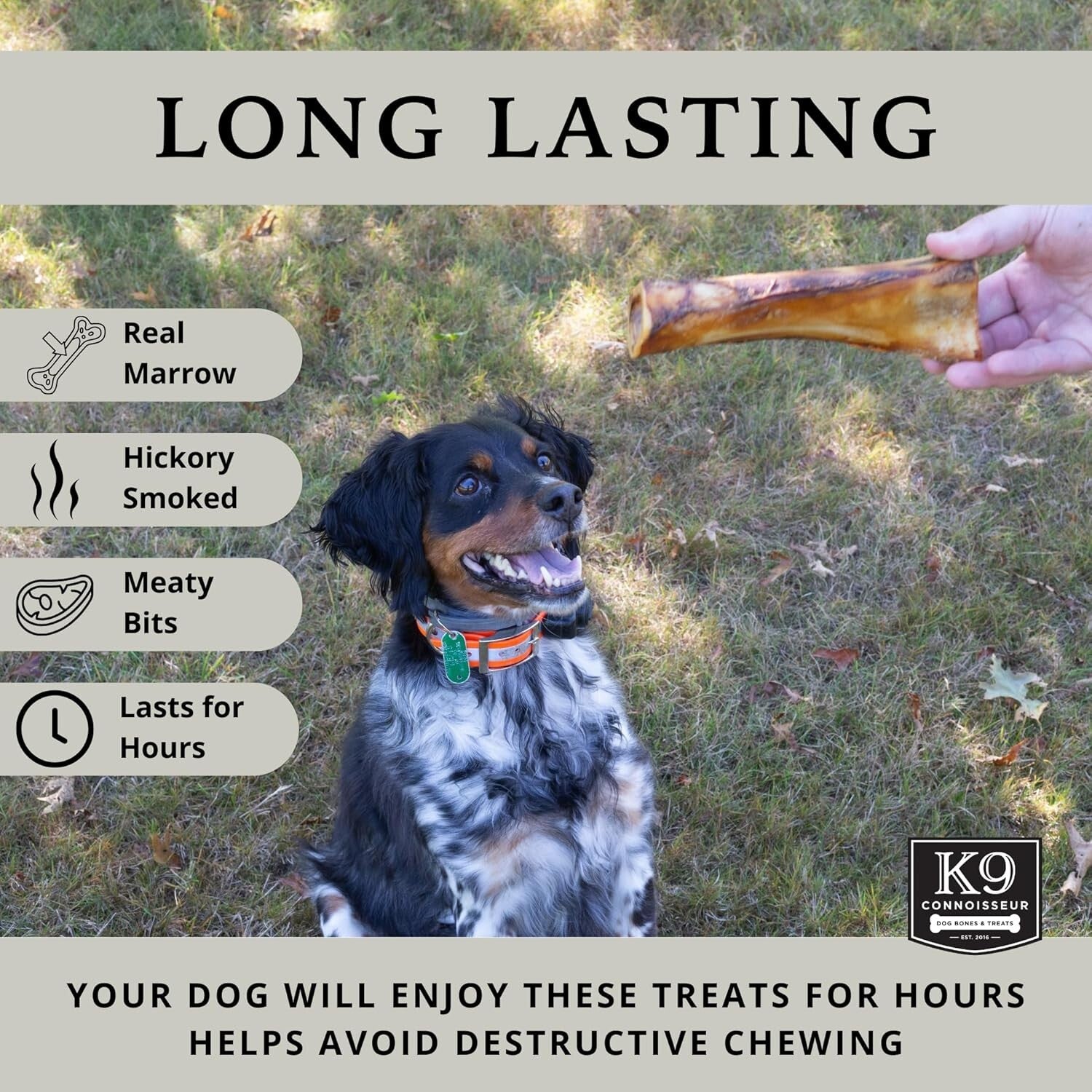 Healthy Low-Calorie Beef Chews for Aggressive Large Breed Dogs - 10 Count