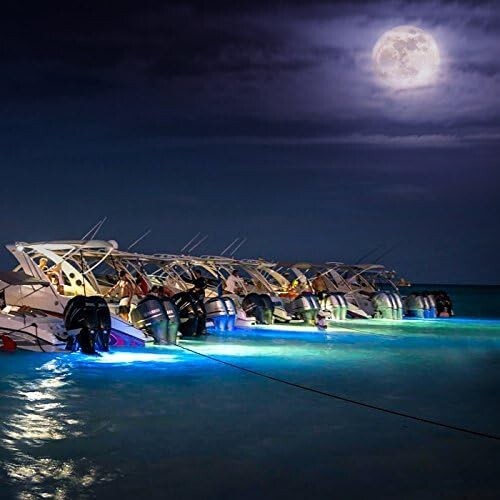 Bright and Stylish SeaBlaze Quattro LED Underwater Light with 5-Year Warranty