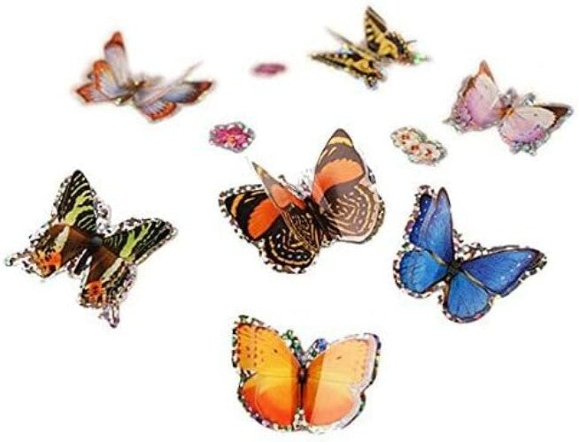 Metamorphosis Magic: 5 Caterpillars & Mini Habitat - Perfect Family Project