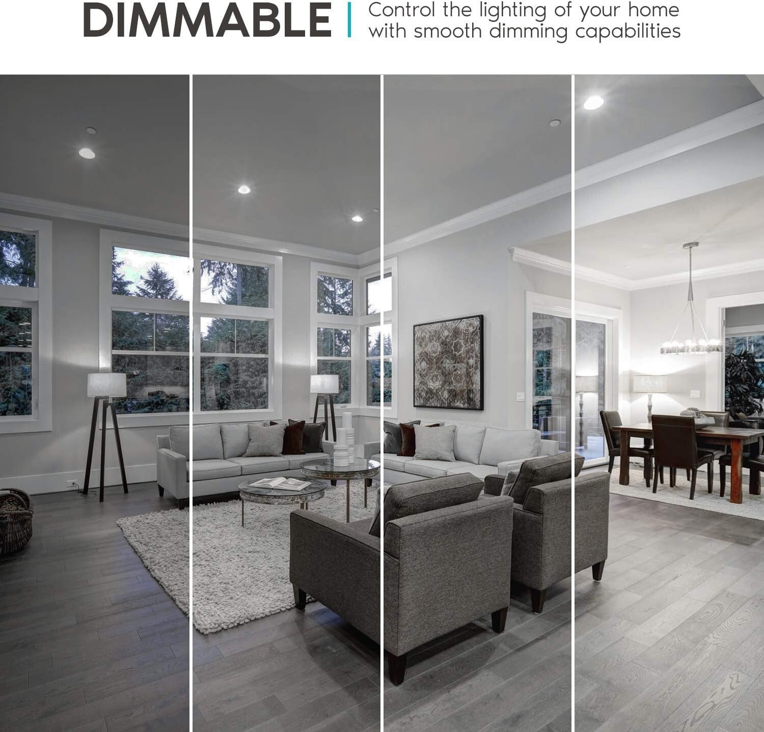 Energy Star Dimmable A19 LED Bulbs - 5000K Bright White, 1100 Lumens, 12 Pack