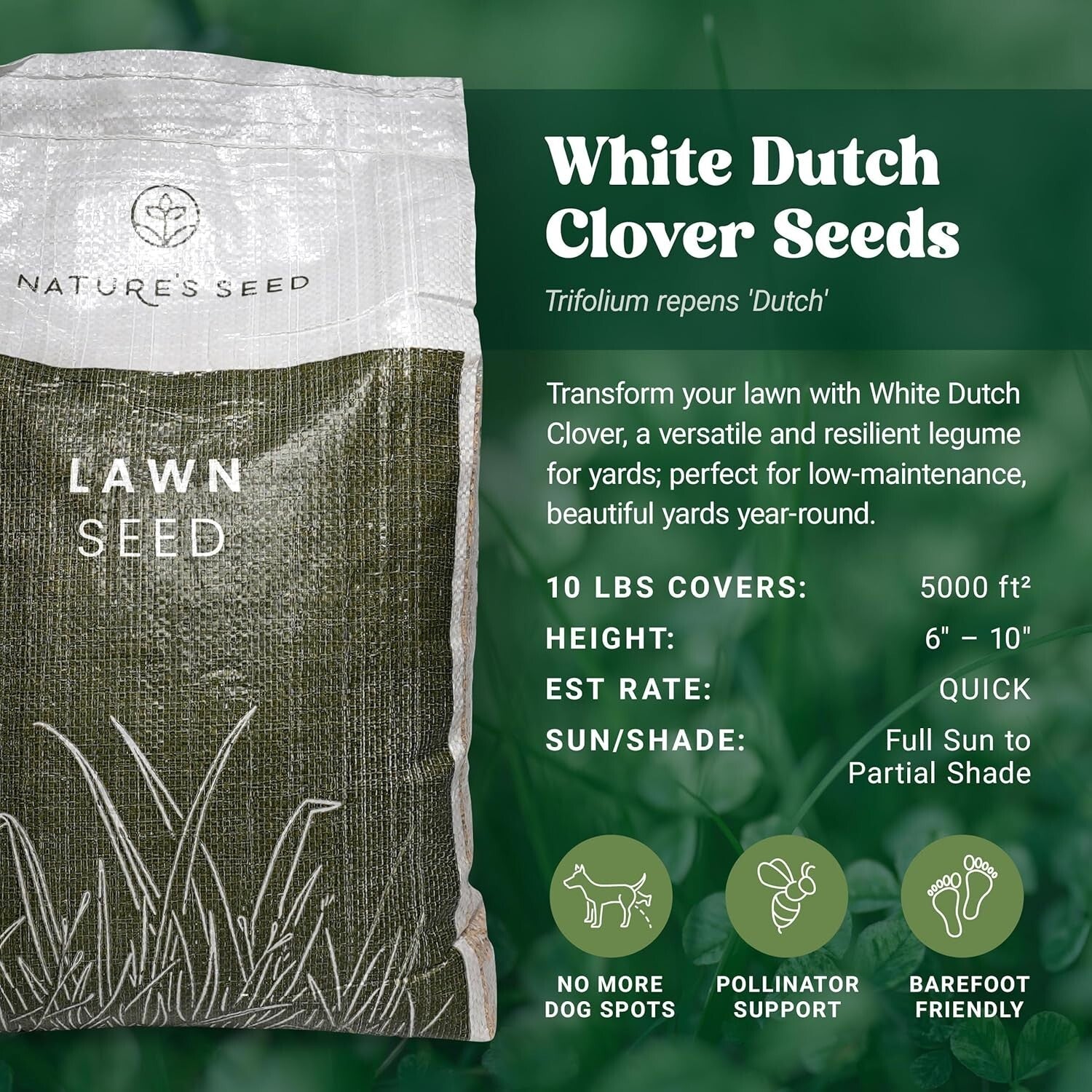5000 sq ft White Dutch Clover Seed - Year-Round Green & Water-Efficient Solution