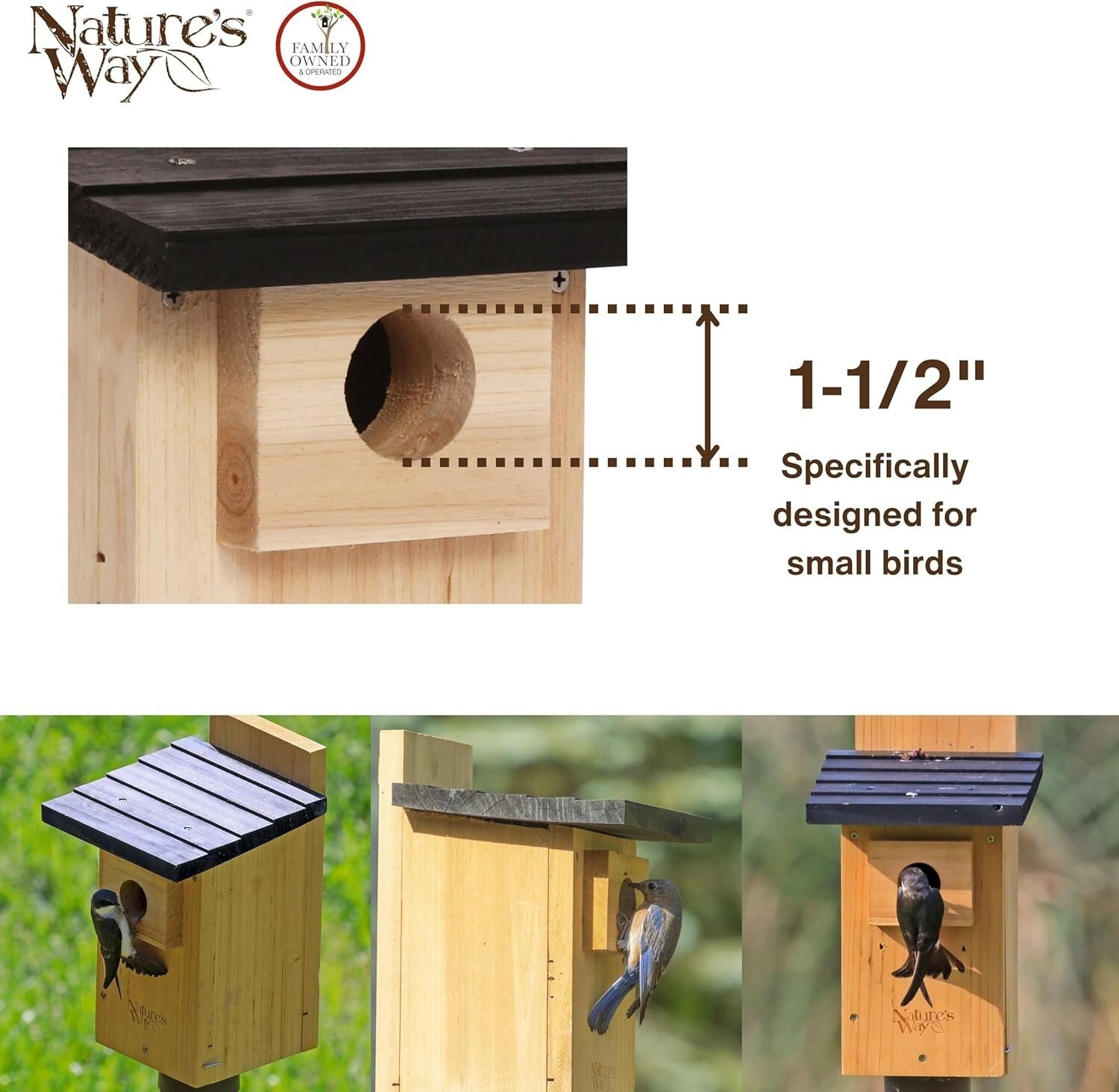 Elegant Cedar Bluebird House with Crack-Resistant Window and Fledgling Support