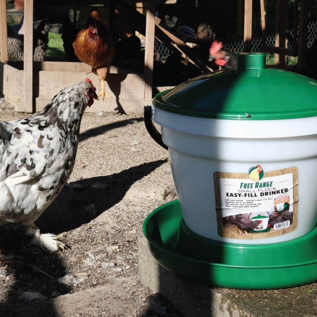 Easy-Fill Poultry Drinker - 6.25 Gallon BPA-Free with Convenient Carrying Handle