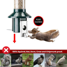 Load image into Gallery viewer, PestOff 2.0 Squirrel-Proof Wild Bird Feeder - 4lbs Capacity, Weatherproof Green