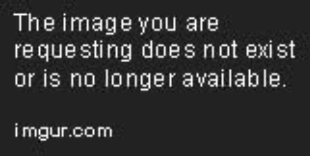 50 Pcs 18k Gold Plated Sterling Silver Ear Wire Hooks for Elegant Jewelry Making