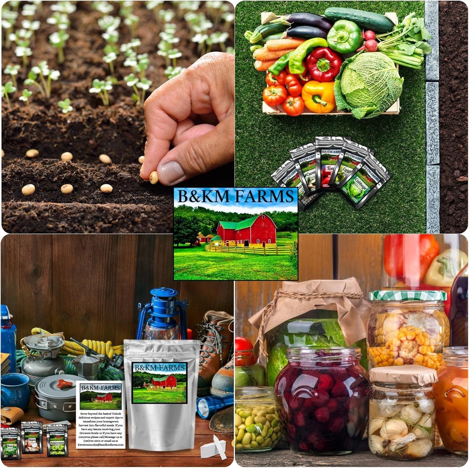 Beginner Survival Seed Vault: 20,000+ Heirloom & Non-GMO Seeds for New Gardeners