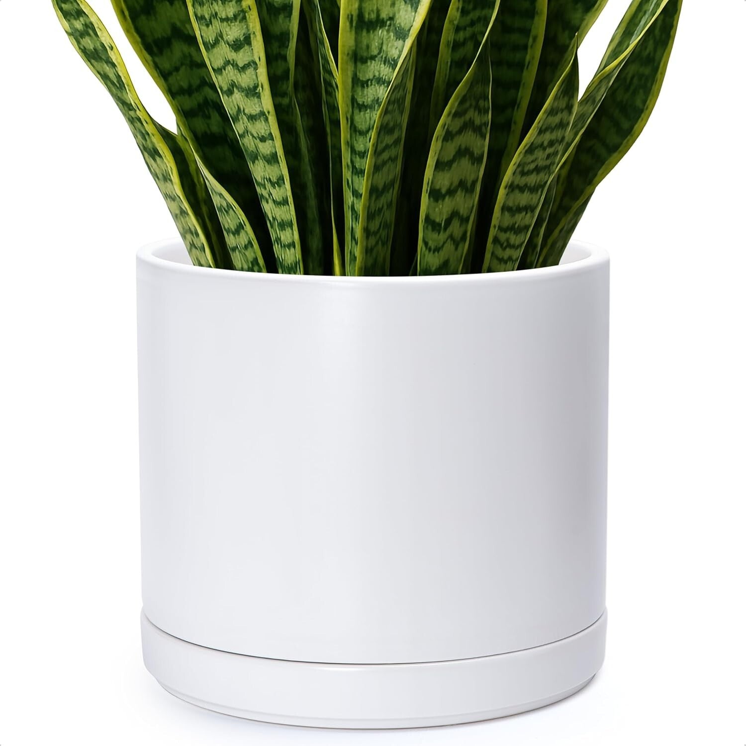 Elegant 14 Inch Ceramic Indoor Planter Pot with Drainage & Saucer - Modern White