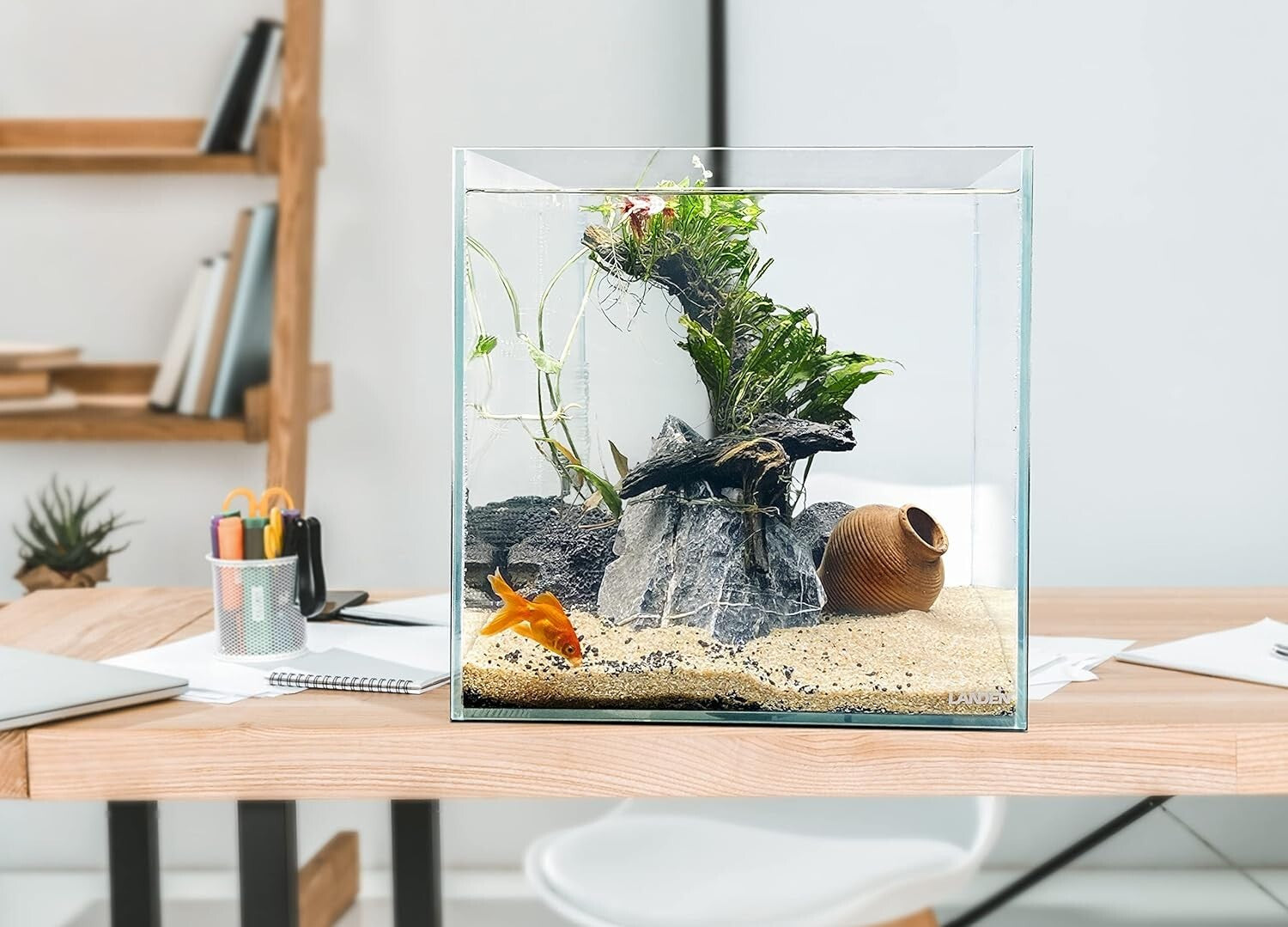 Sleek 36C 11.5 Gallon Rimless Aquarium - Low Iron Glass with Seamless Edges