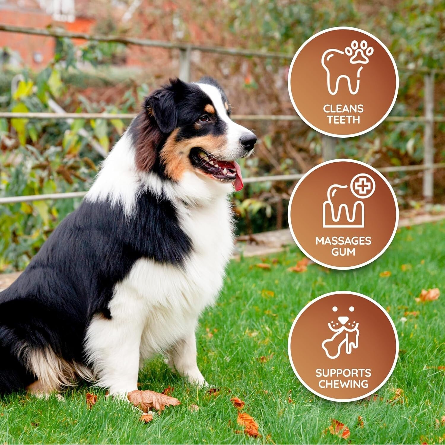 Durable Chew Sticks - Ethical Leather Dog Bones for Healthy Teeth - 3 Count