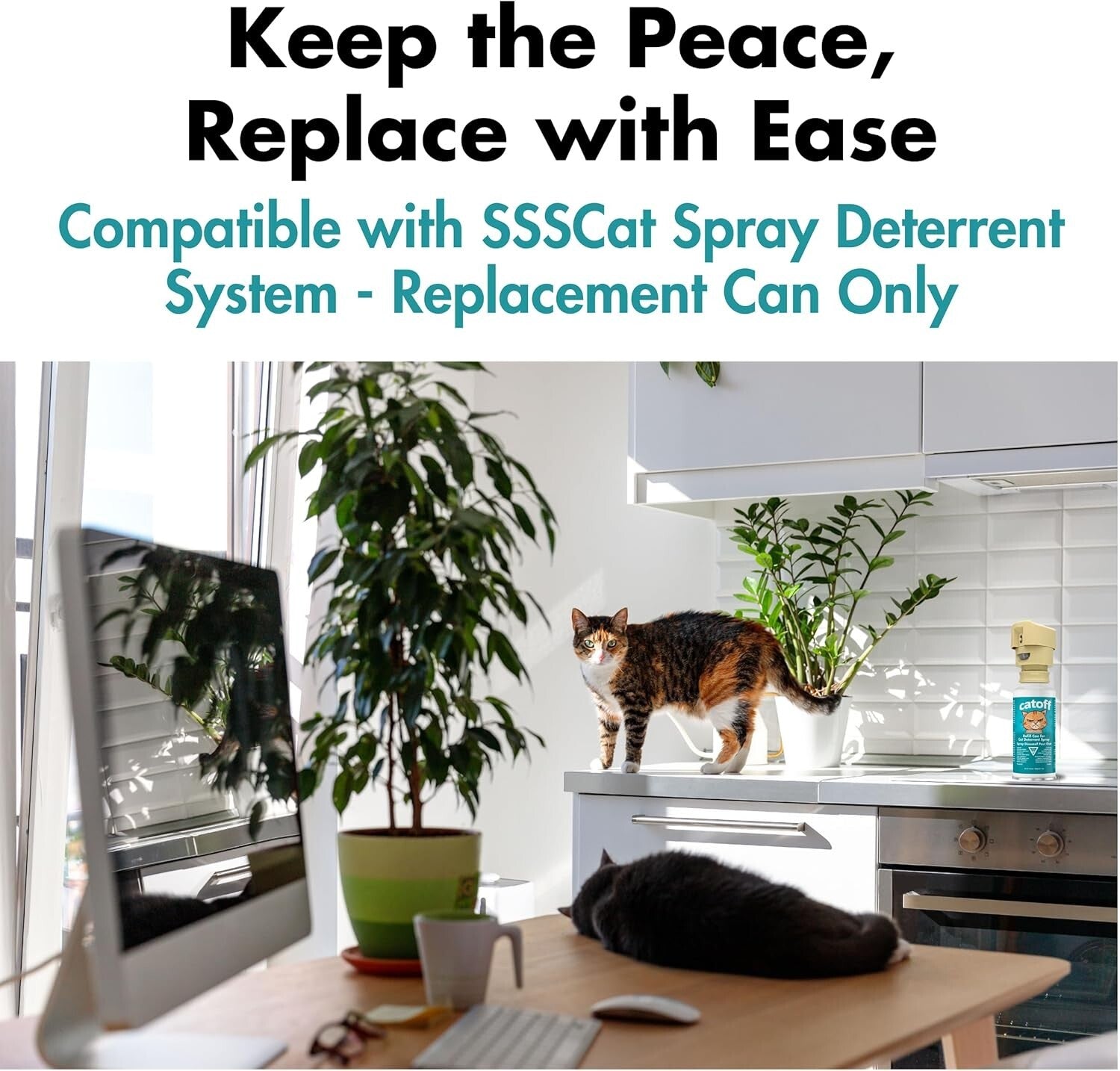 12 Replacement Cans for SSSCAT Cat Deterrent - Lasting Performance & Safety