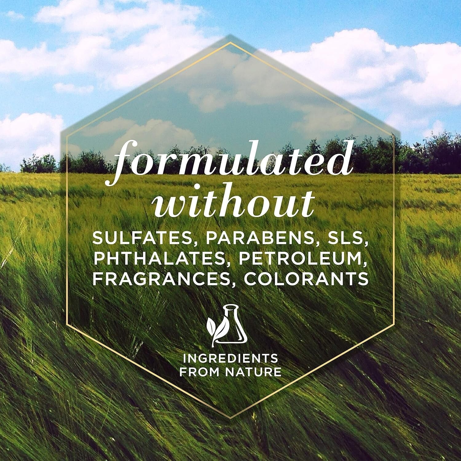 Eco-Friendly Grooming Wipes for Dogs - Hypoallergenic & Made in the USA - 6 Pack