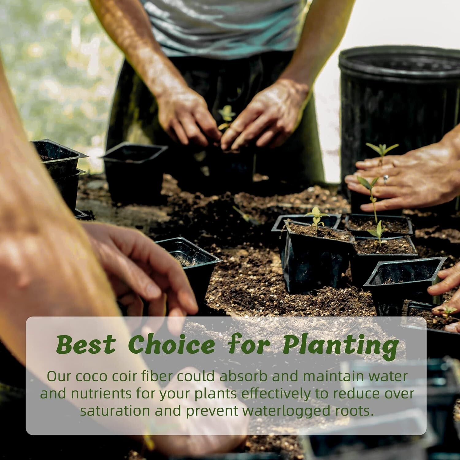 Coconut Coir Brick Soil - 24 Natural Compressed Fibers for Healthy Plants