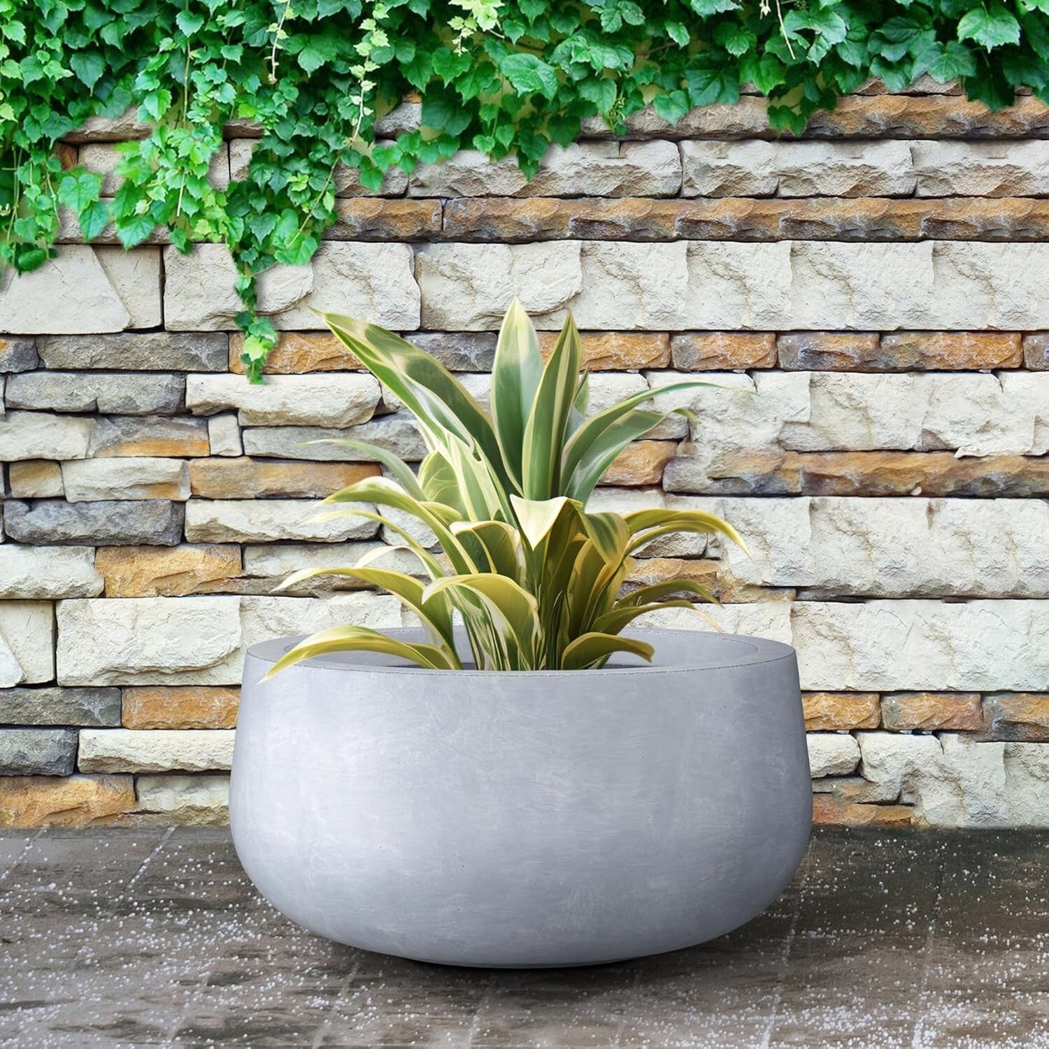 Chic 15.7" Diameter Concrete Plant Pot with Smooth Finish - Perfect for Gardens