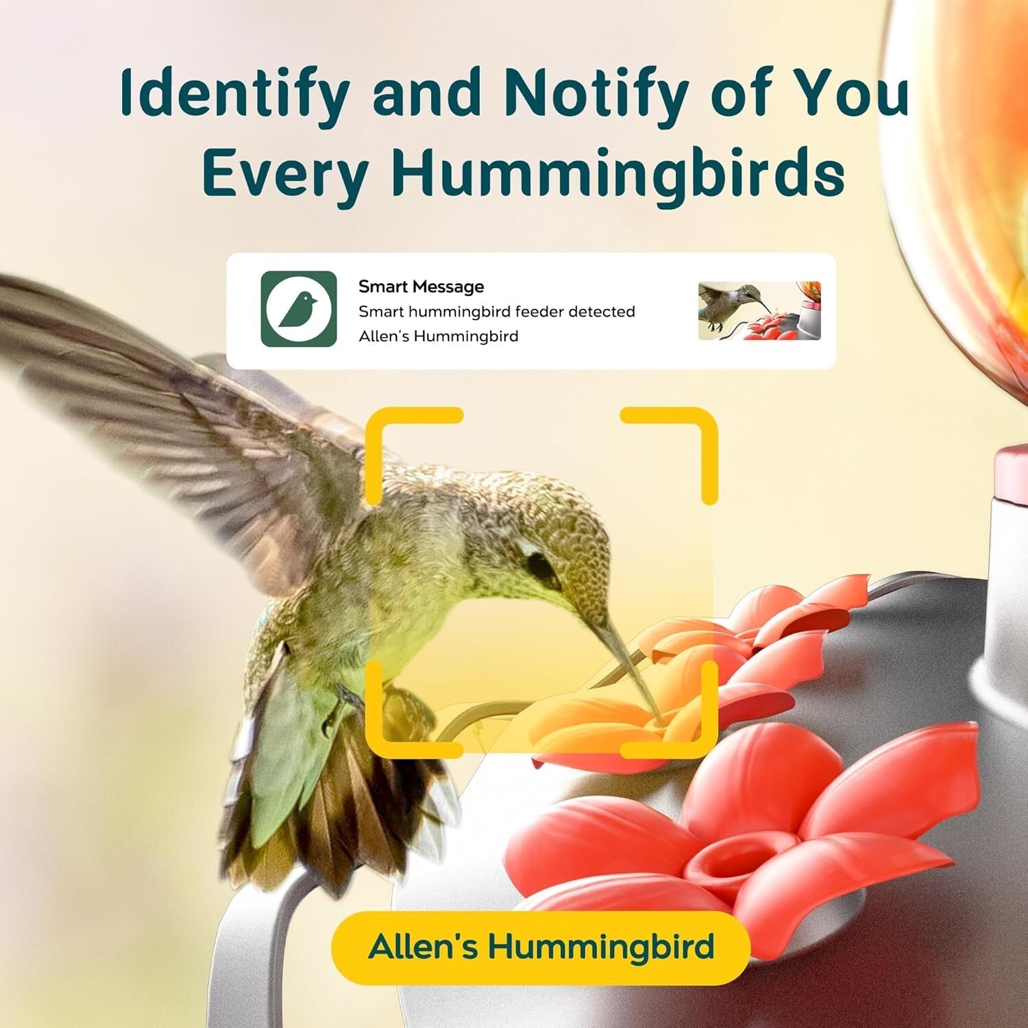 AI-Powered Hummingbird Feeder with Leakproof Design & Instant Alerts - 150° View