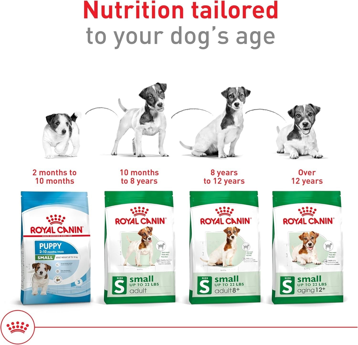 Royal Canin Small Adult Dry Dog Food, 14 lb – Supports Weight & Bone Health