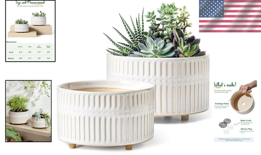 Elegant 6.5/8 Inch Ceramic Succulent Pots with Drainage - Indoor Garden Combo