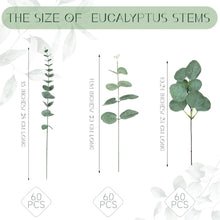 Load image into Gallery viewer, Versatile 180 Bulk Eucalyptus Leaves Bundle for Stunning Floral Arrangements