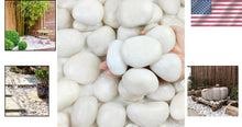 Load image into Gallery viewer, Elegant 20lbs White Pebbles - Ideal for Landscaping, Planters &amp; Creative Decor
